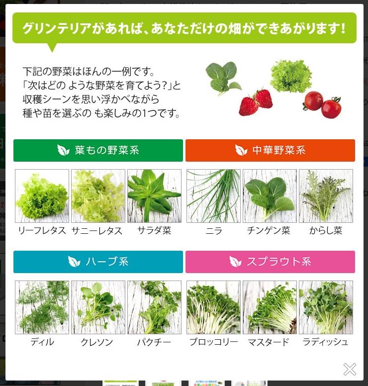 野菜